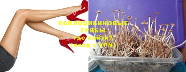 меф Алексин