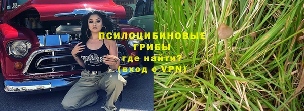 спайс Алзамай