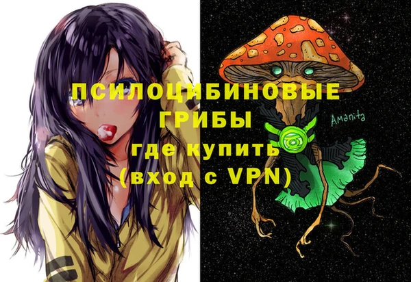спайс Алзамай