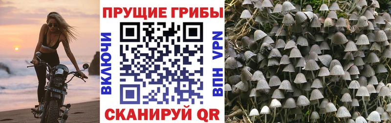 Псилоцибиновые грибы Magic Shrooms  KRAKEN рабочий сайт  Дыгулыбгей 
